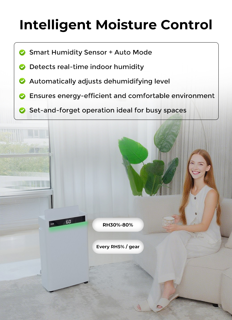dehumidifier moisture control dehumidifier moisture control
