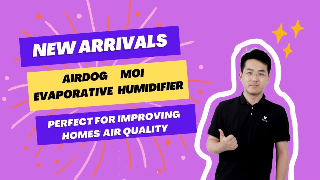 Airdog MOI humidifiers.mp4