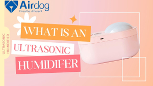 ultrasonic humidifier.jpg