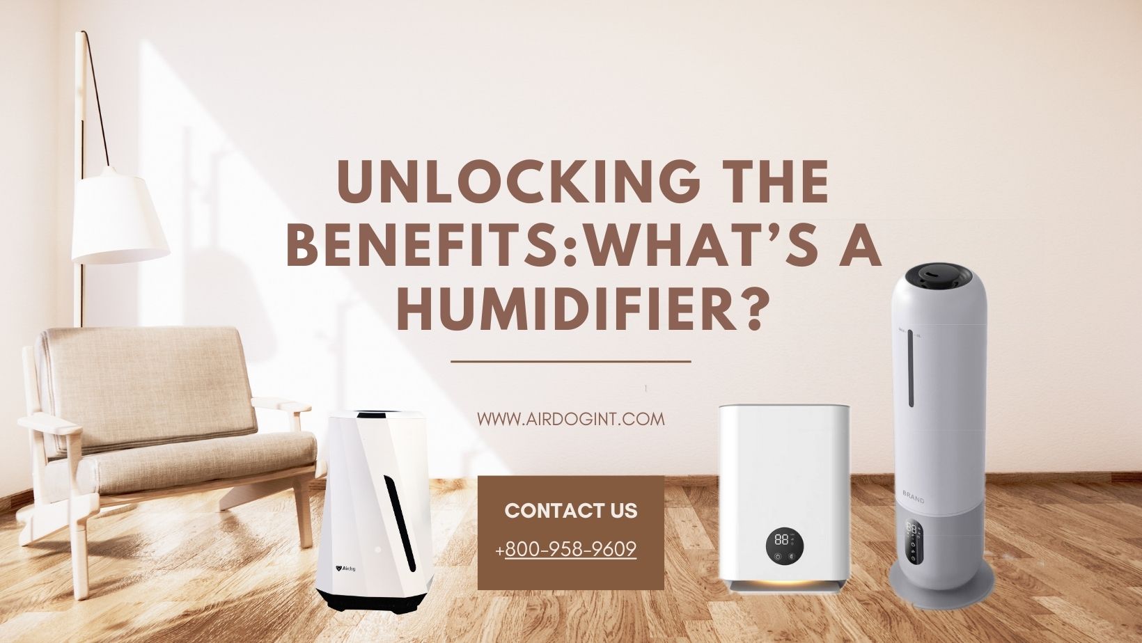 Unlocking The BenefitsWhat’s A Humidifier.jpg