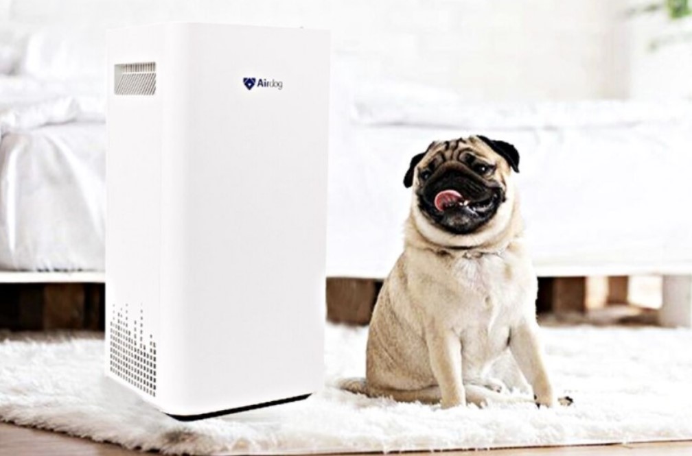 air purifiers for dog
