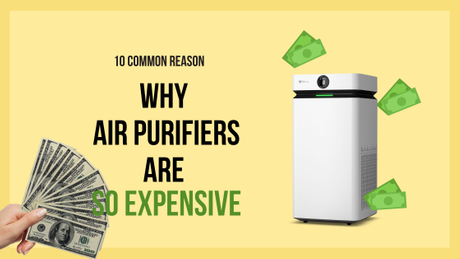 why air purifiers are so expensive.jpg