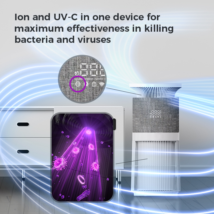 P300 Pet Air Purifier