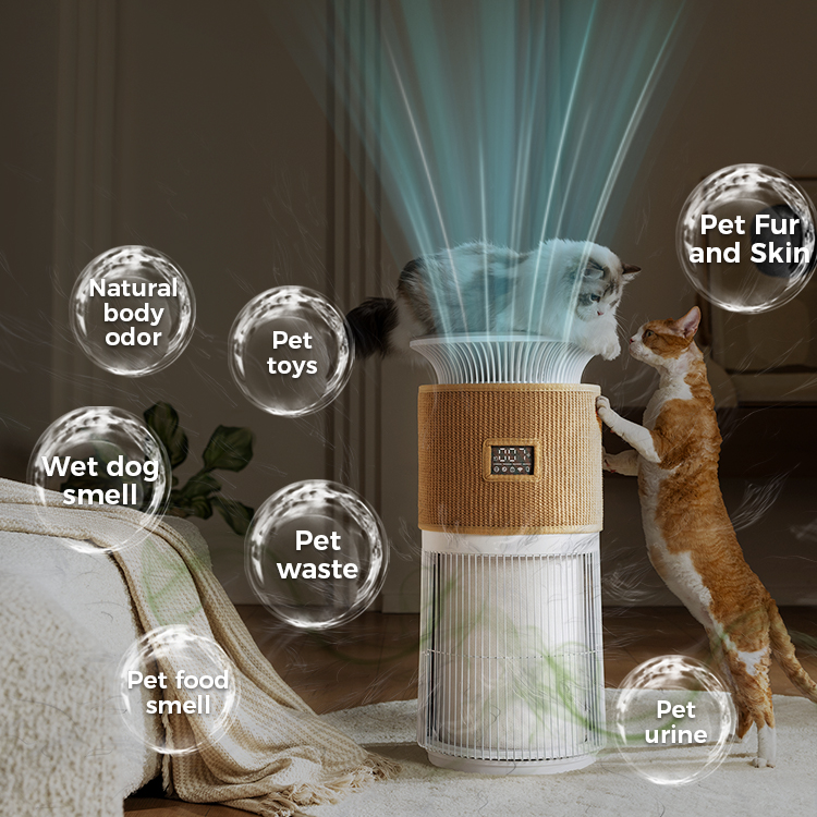 P300 Pet Air Purifier