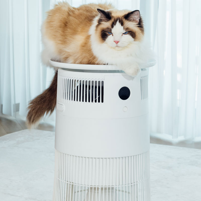 Airdog P50 Pet Air Purifier
