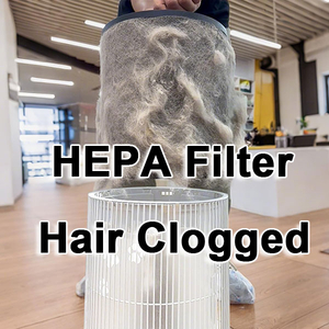 HEPAHairClog_.jpg