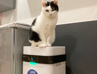 Pet