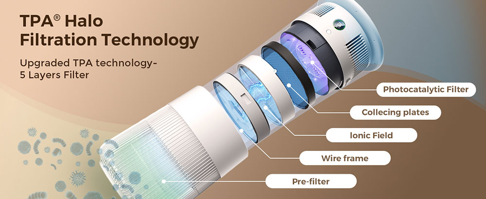 P50-Filtration.jpg