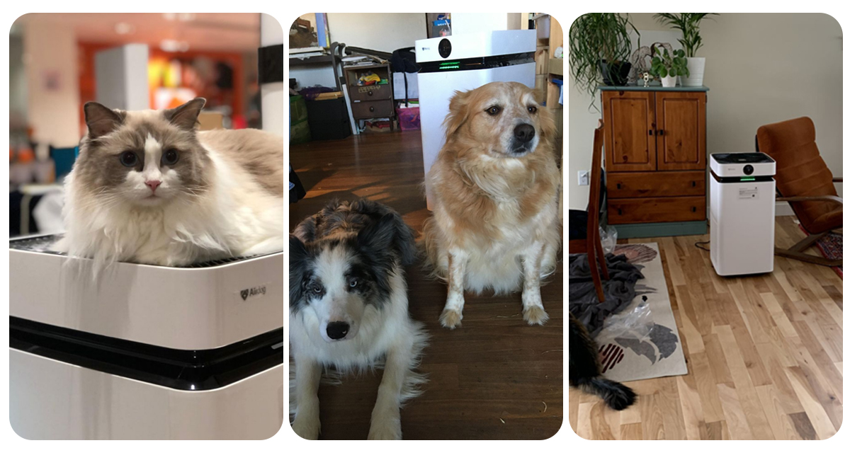 Airdog X8 air purifier for pet dog cat