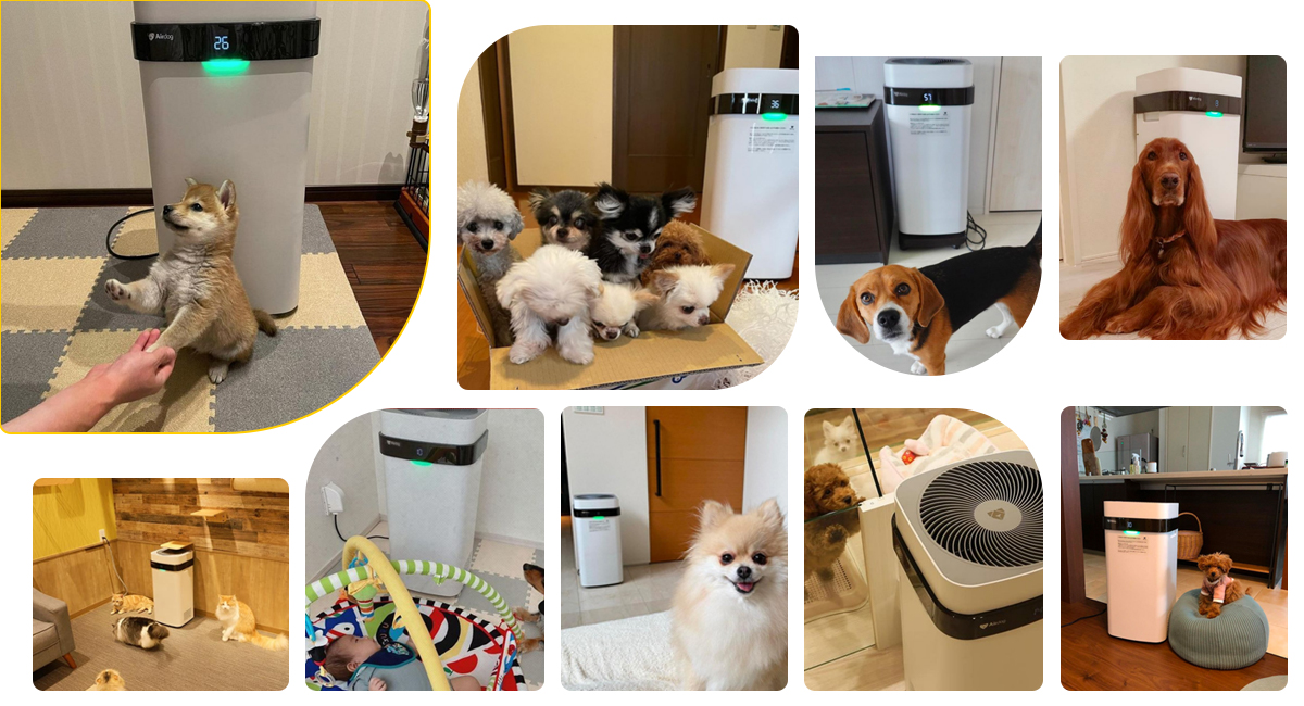 Airdog X5 air purifier for pet dog cat
