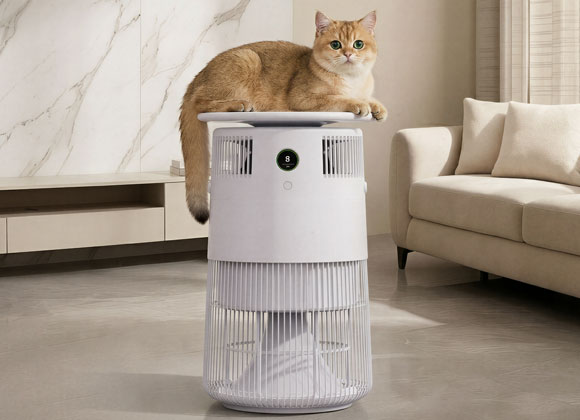P50-air-purifier