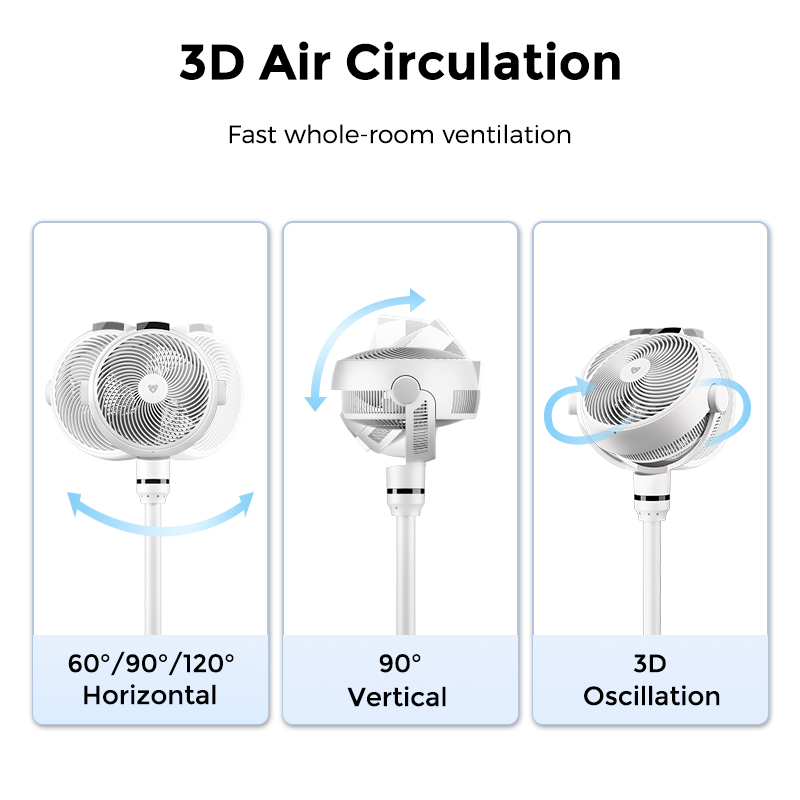 SF3 Oscilation