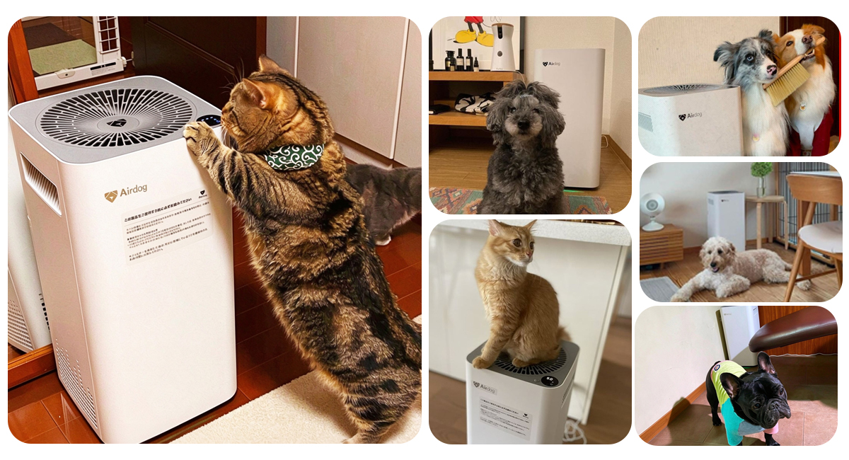 Airdog X3 air purifier for pet dog cat